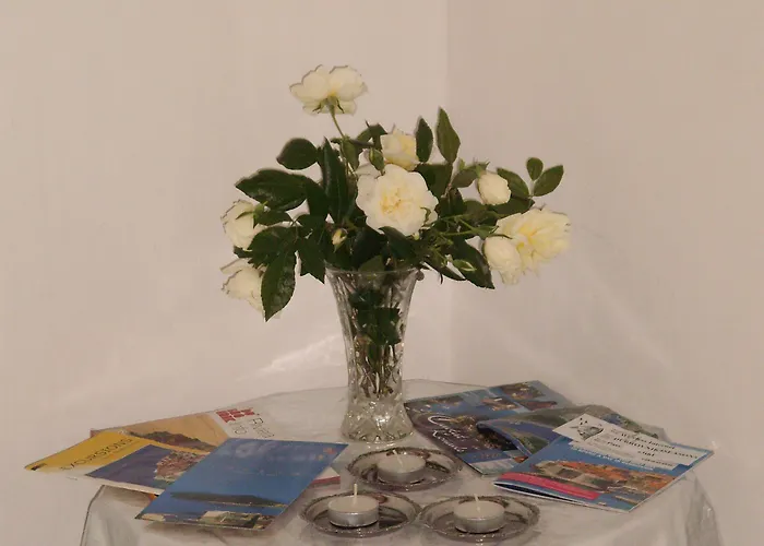 Old Port 게스트하우스